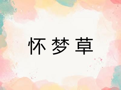 怀梦草
