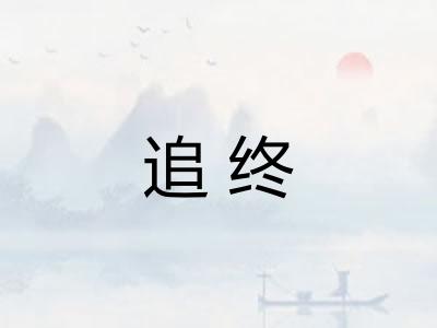 追终