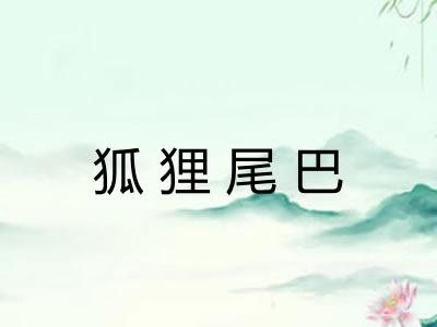 狐狸尾巴