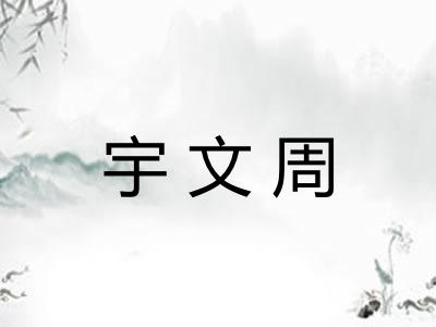 宇文周