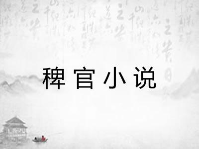 稗官小说
