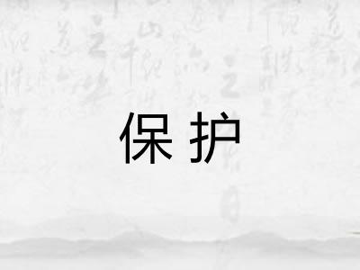 保护