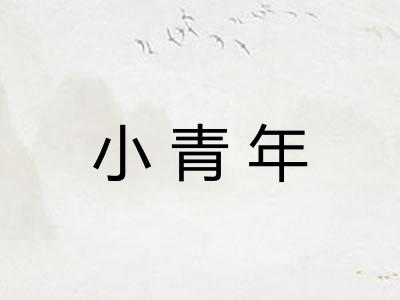 小青年