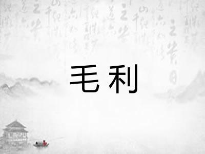 毛利