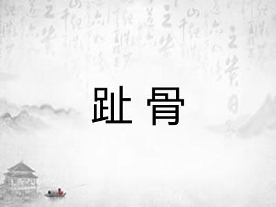 趾骨