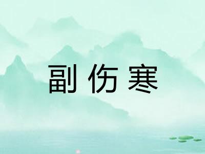 副伤寒