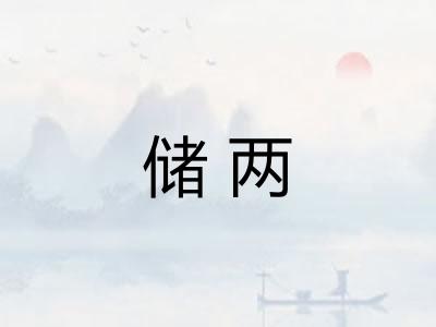 储两