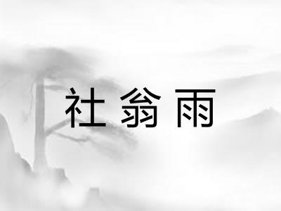 社翁雨