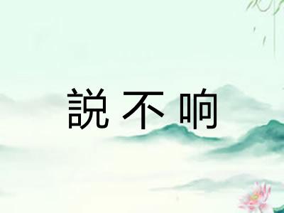 説不响