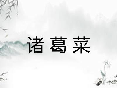 诸葛菜
