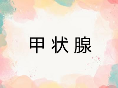 甲状腺