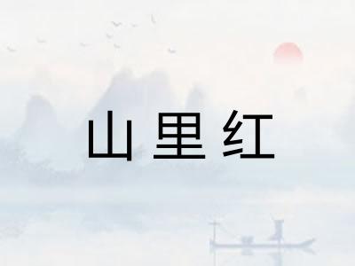 山里红