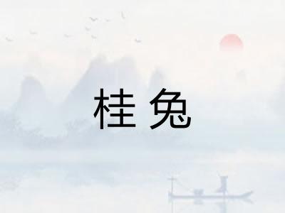 桂兔