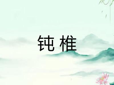 钝椎