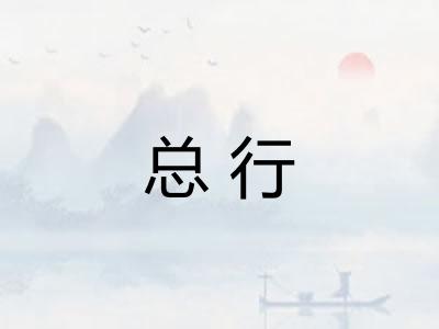总行