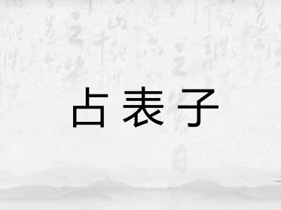 占表子