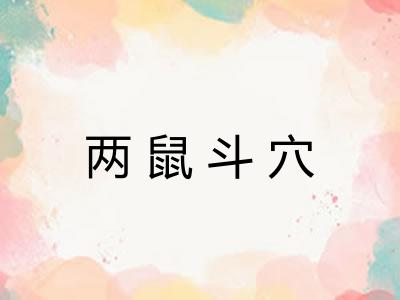 两鼠斗穴