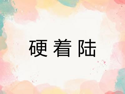 硬着陆