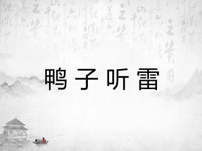 鸭子听雷