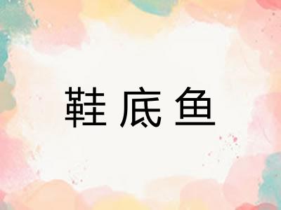 鞋底鱼