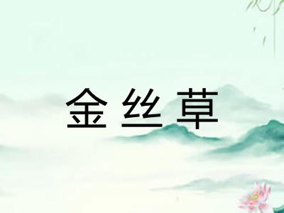 金丝草