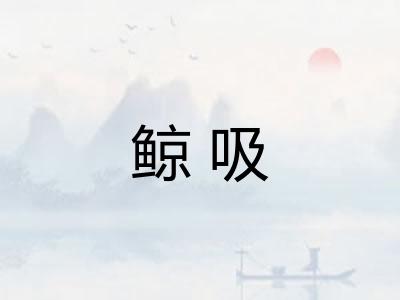 鲸吸