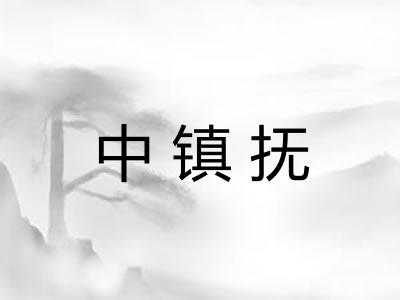 中镇抚