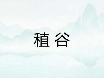 稙谷