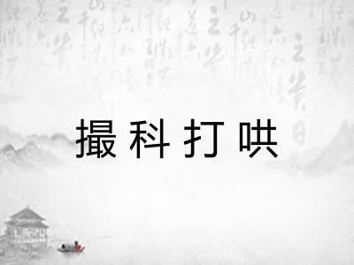 撮科打哄