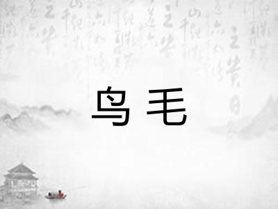 鸟毛