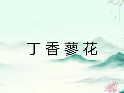 丁香蓼花
