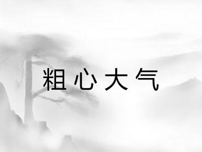 粗心大气