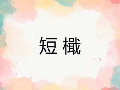 短檝