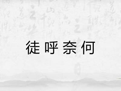 徒呼奈何