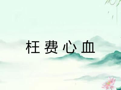 枉费心血