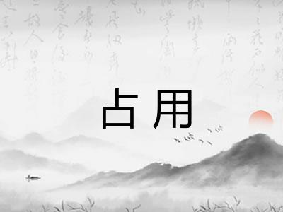 占用