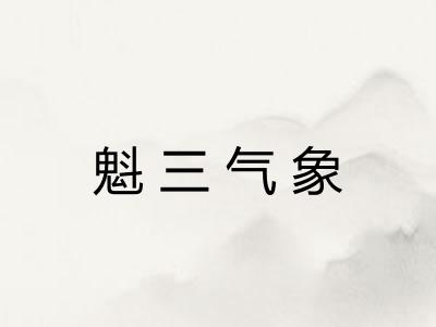 魁三气象
