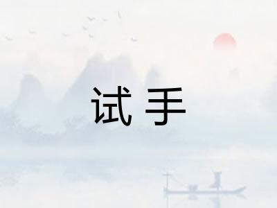 试手