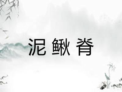 泥鳅脊