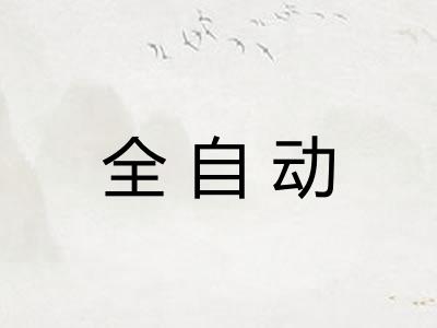 全自动