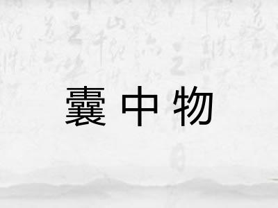 囊中物