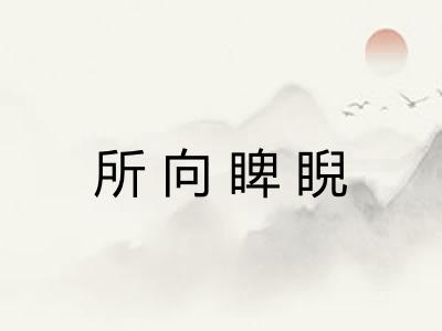 所向睥睨
