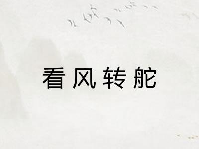 看风转舵
