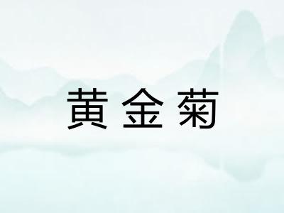 黄金菊