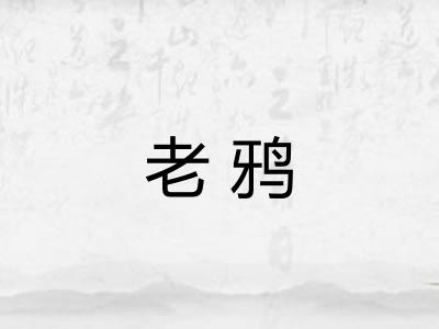 老鸦