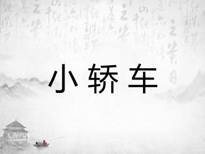 小轿车