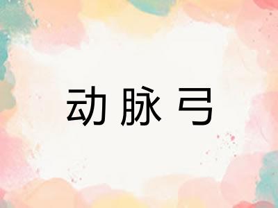 动脉弓