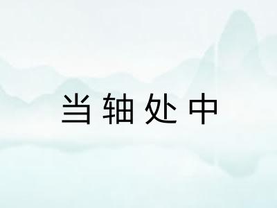 当轴处中