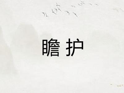 瞻护