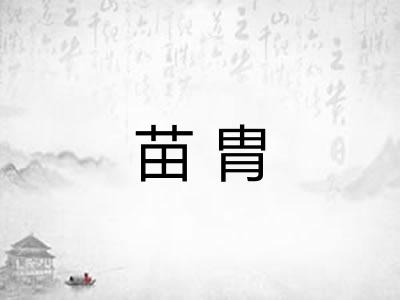 苗胄